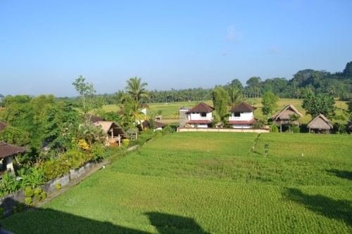 Bali image 2